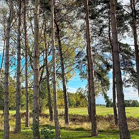 Hollicarrs - Pinewood 호텔 3*