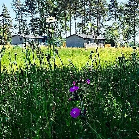 Hollicarrs - Pinewood 3*